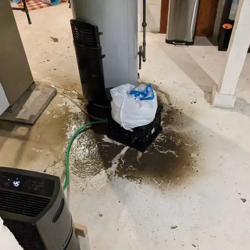Sewage Backup Cleanup Service in Oroville East, CA
